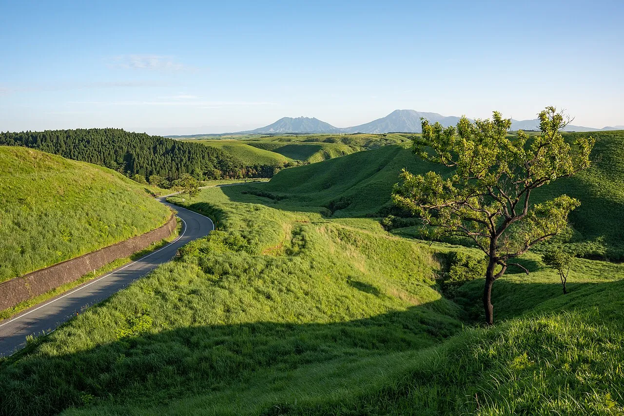 緑の草原の丘の間を曲がりながら延びる道路と、遠くの阿蘇の山々