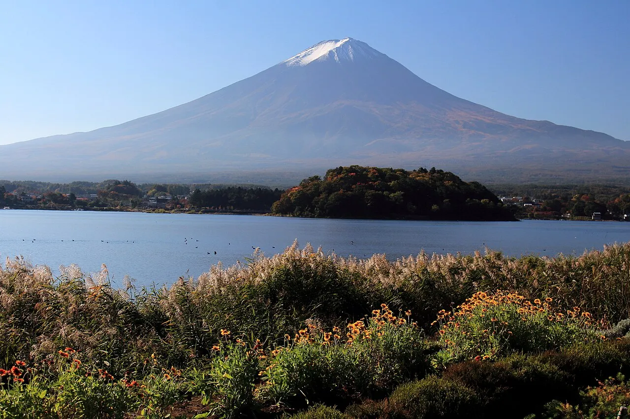 Mount Fuji across Lake Kawaguchi, seen over flowers and grasses at Oishi Park