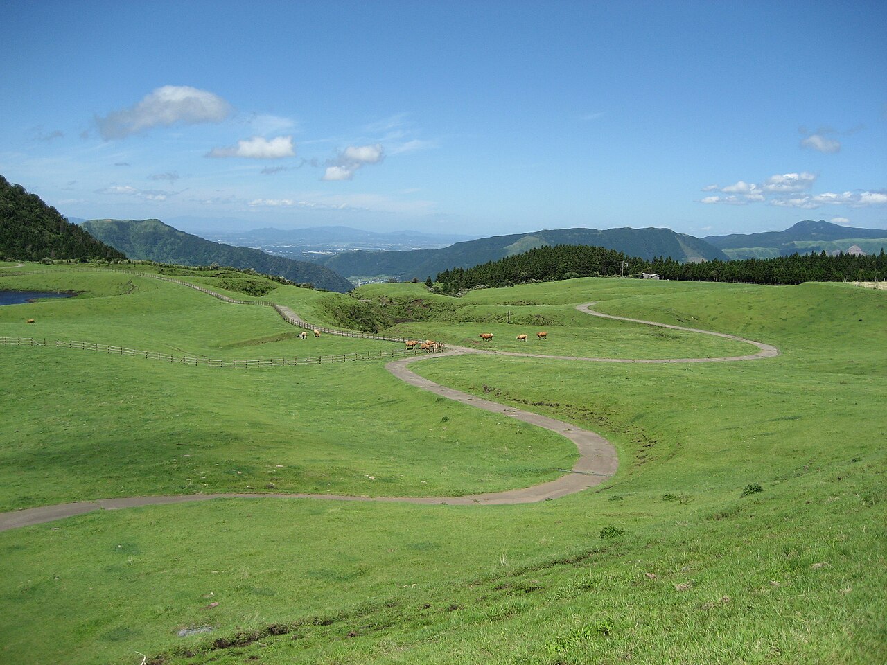 阿蘇・草千里ヶ浜