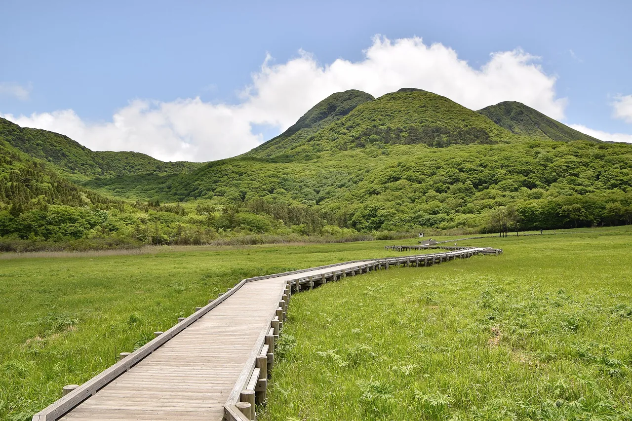 湿原の中を延びる木道と、奥の山