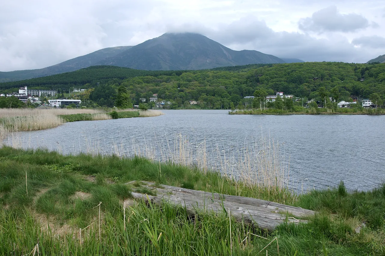 白樺湖の湖岸と、奥に見える山並み